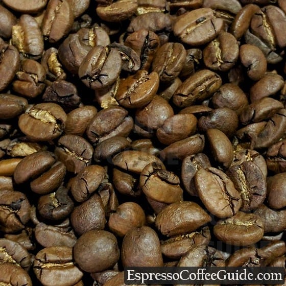 巴西桑托斯咖啡豆——中烤