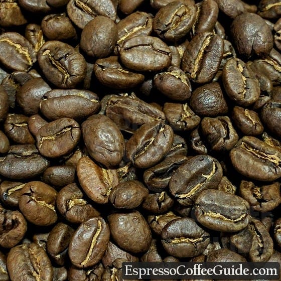 肯尼亚AA咖啡豆——中烤
