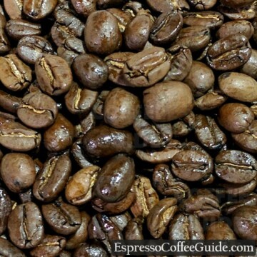 尼加拉瓜有机咖啡豆中烤
