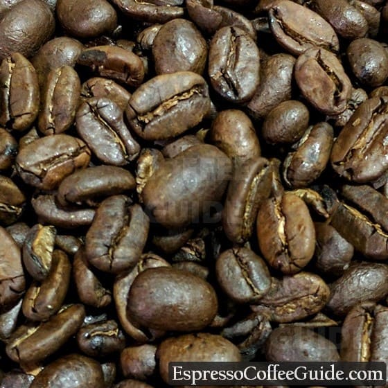 苏门答腊Mandheling咖啡豆——中烤