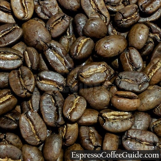 苏门答腊有机咖啡豆中烤