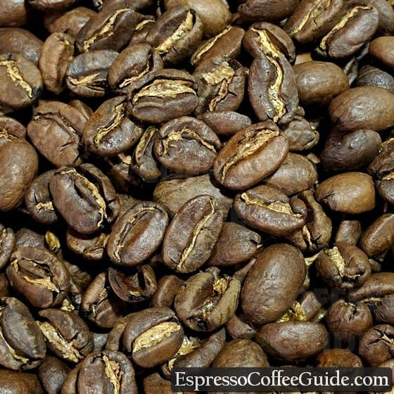 埃塞俄比亚Yirgacheffe咖啡豆——中烤