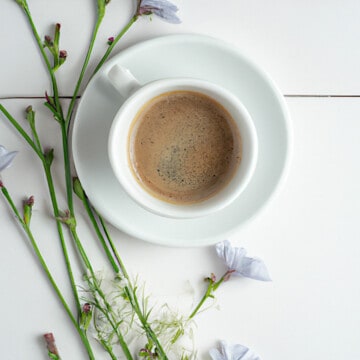 一杯咖啡菊苣菊苣鲜花旁