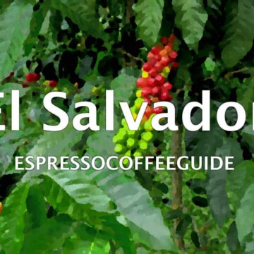 萨尔瓦多咖啡