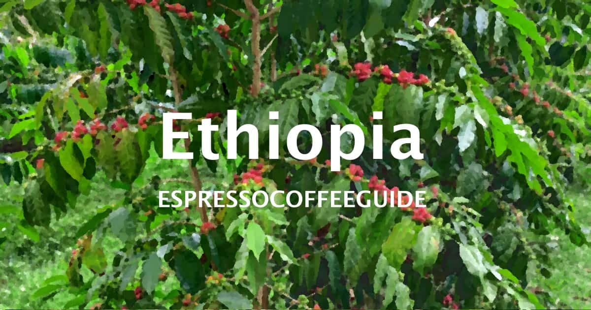 埃塞俄比亚咖啡