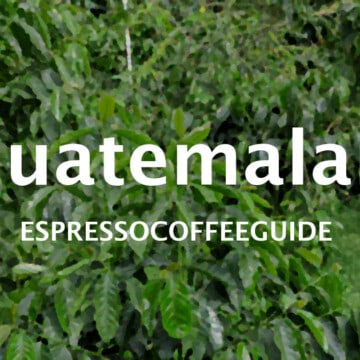 危地马拉咖啡