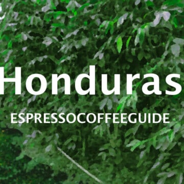 洪都拉斯咖啡