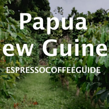 巴布亚新几内亚的咖啡